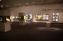 Wasp_exhibition__DSC3519